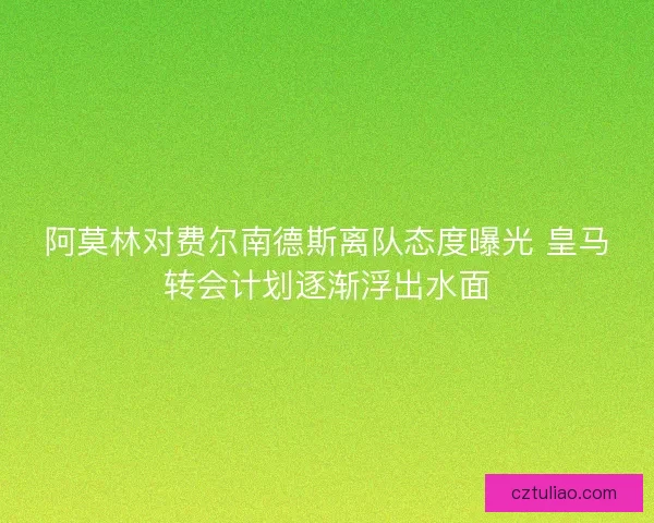 阿莫林对费尔南德斯离队态度曝光 皇马转会计划逐渐浮出水面