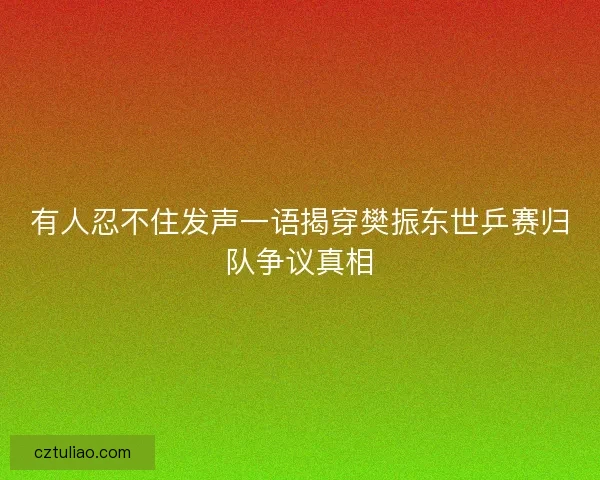 有人忍不住发声一语揭穿樊振东世乒赛归队争议真相